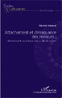 Sébastien Yougbare - Attachement et délinquance des mineurs, Häftad