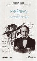Victor Hugo, Sylvie Blotnikas - Pyrénées, Häftad. Tillgänglighet: Lägg i varukorg