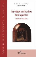 Antonini Cochin Laetitia - Les enjeux patrimoniaux de la séparation, Häftad