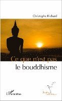 Christophe Richard - Ce que n'est pas le bouddhisme, Häftad