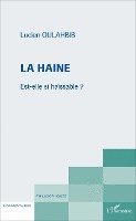 Lucien-Samir Oulahbib - haine, Häftad