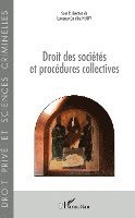 Henry Laurence Caroline - Droit des sociétés et procédures collectives, Häftad