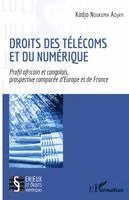 Kodjo Ndukuma Adjayi - Droits des télécoms et du numérique, Häftad