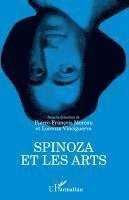Pierre-François Moreau, Direttore Vinciguerra Lorenzo Prof - Spinoza et les arts, Häftad