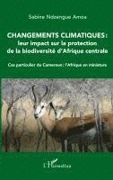 Sabine Ndzengue Amoa - Changements climatiques, Häftad