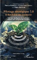 Viviane Du Castel, Schoch Patrice, Bennar Hajar - Pilotage stratégique 5.0 et durabilité des territoires, Häftad