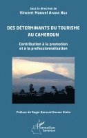 Vincent Manuel Afana Nga - Des déterminants du tourisme au Cameroun, Häftad