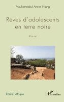 Niang Mouhamedoul Amine - Rêves d'adolescents en terre noire. Roman, Häftad