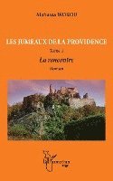 Alabassa Worou - Les jumeaux de la providence. Roman Tome 1, Häftad