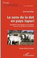 Jean Paul Balga - sens de la dot en pays tupuri, Häftad