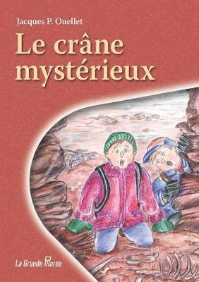 bokomslag crâne mystérieux