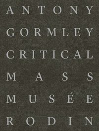 bokomslag Antony Gormley