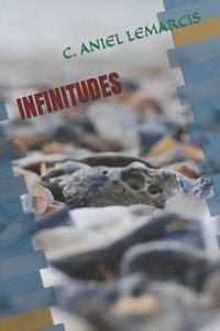 bokomslag Infinitudes