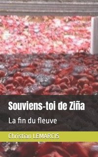 bokomslag Souviens-toi de Zina