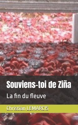 bokomslag Souviens-toi de Ziña