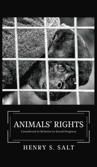bokomslag Animals' Rights