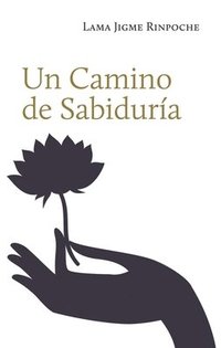 bokomslag Un Camino de Sabidura