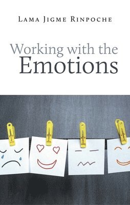 Working With the Emotions 1