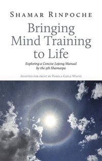 bokomslag Bringing Mind Training to Life