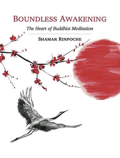 Shamar Rinpoche - Boundless Awakening, Häftad