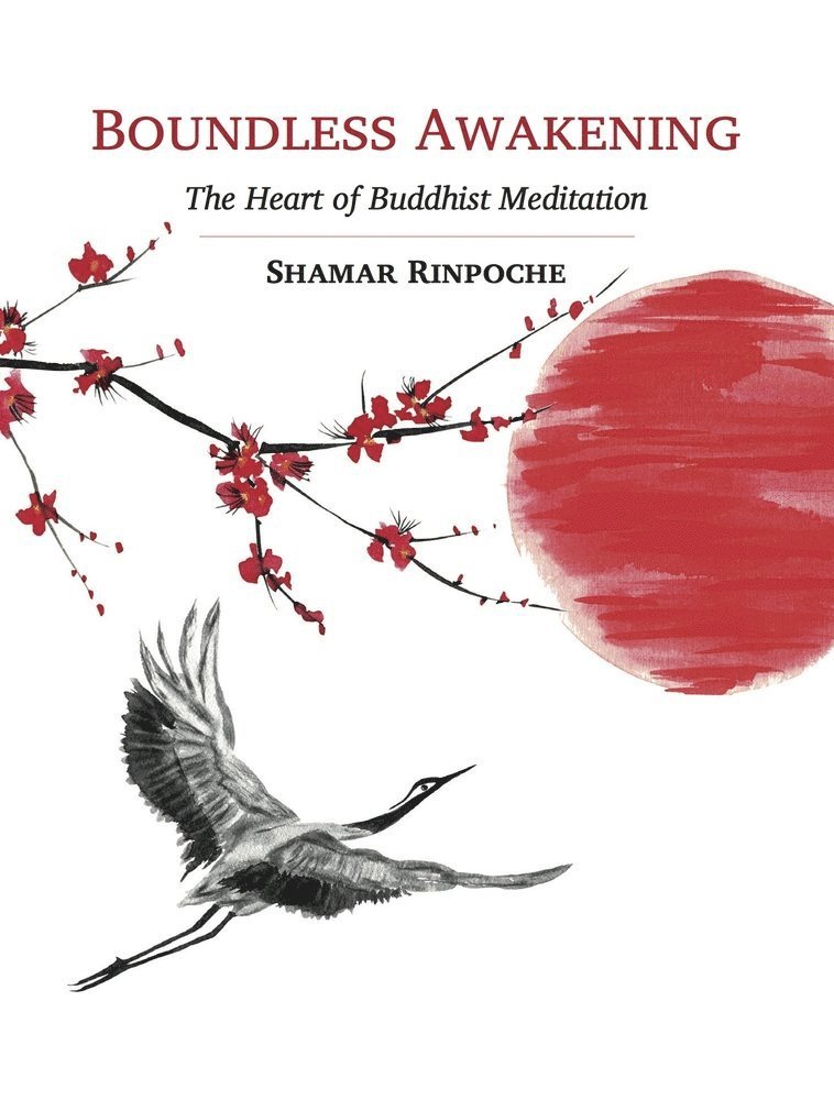Boundless Awakening