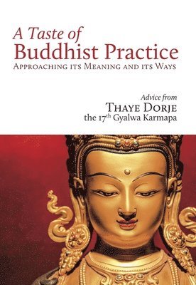 bokomslag Taste of Buddhist Practice