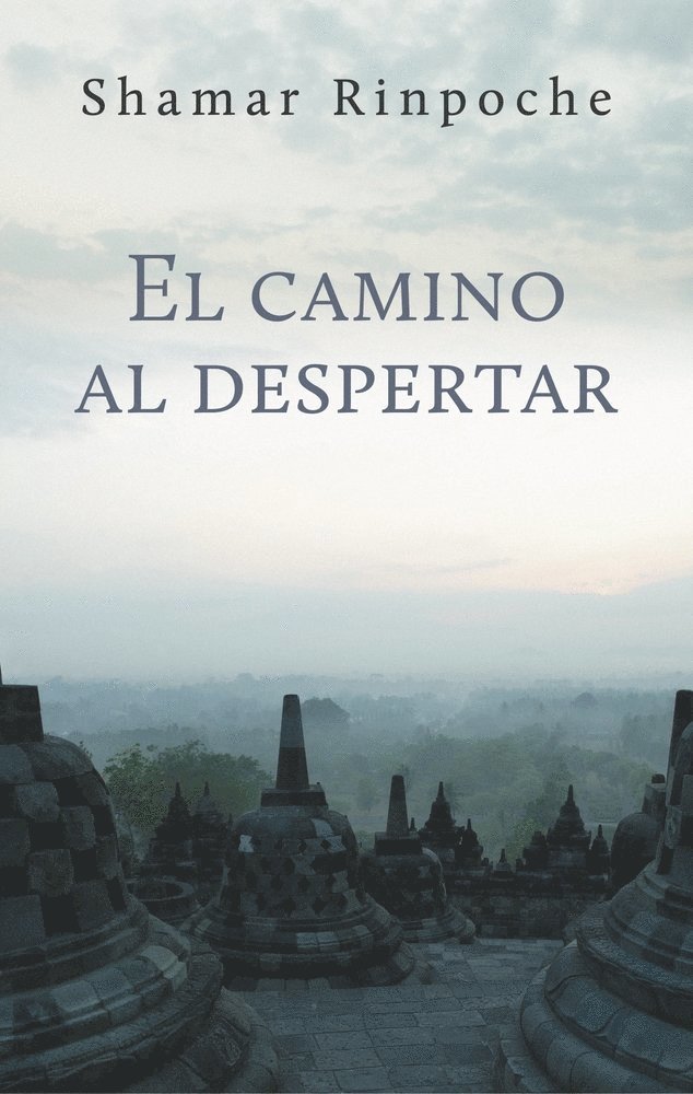 El camino al despertar 1