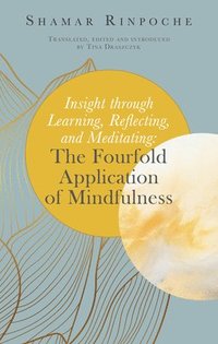 bokomslag Insight Through Learning,  Reflecting, and Meditating