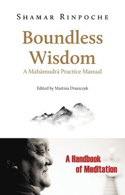 Boundless Wisdom: A Mahamudra Practice Manual