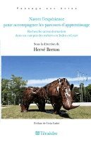 Hervé Breton - Narrer l'expérience pour accompagner les parcours d'apprentissage, Häftad