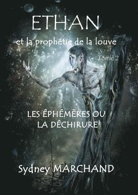 bokomslag Ethan et la prophétie de la louve 2