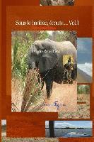 bokomslag Sous le baobab, écoute... Vol.1: Contes et légendes d'Afrique