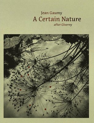 bokomslag Jean Gaumy: A Certain Nature: After Giverny
