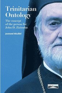bokomslag Trinitarian Ontology