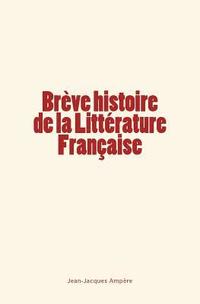 bokomslag Brève histoire de la Littérature Française