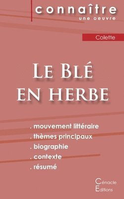 bokomslag Fiche de lecture Le Blé en herbe de Colette (Analyse littéraire de référence et résumé complet)