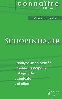 Comprendre Schopenhauer (analyse complète de sa pensée) 1