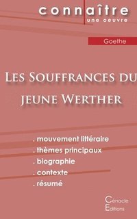 bokomslag Fiche de lecture Les Souffrances du jeune Werther de Goethe (Analyse litteraire de reference et resume complet)
