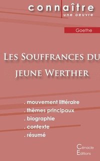bokomslag Fiche de lecture Les Souffrances du jeune Werther de Goethe (Analyse littéraire de référence et résumé complet)