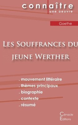 bokomslag Fiche de lecture Les Souffrances du jeune Werther de Goethe (Analyse littraire de rfrence et rsum complet)