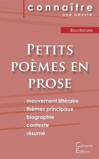 bokomslag Fiche de lecture Petits poèmes en prose de Baudelaire (Analyse littéraire de référence et résumé complet)