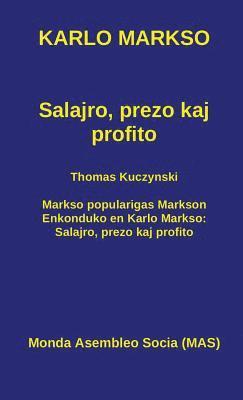 bokomslag Salajro, prezo kaj profito