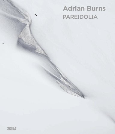 Denise Wendel-Poray, Éric Garandeau - Pareidolia: Adrian Burns (Bilingual edition), Inbunden