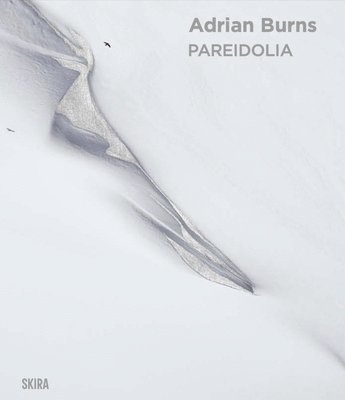 bokomslag Pareidolia: Adrian Burns (Bilingual edition)