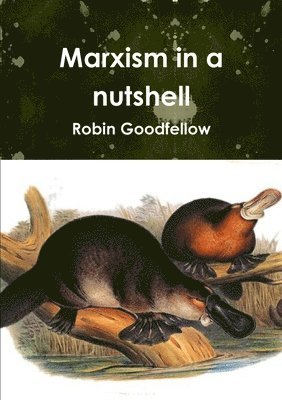 Robin Goodfellow - Marxism in a nutshell, Häftad