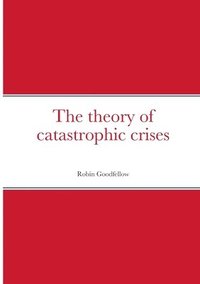 bokomslag The theory of catastrophic crises