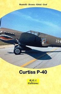 bokomslag Curtiss P-40