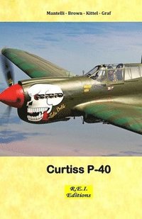 bokomslag Curtiss P-40