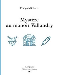 bokomslag Mystère au manoir Vallandry