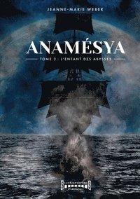 bokomslag Anamésya - Tome 3: L'enfant des abysses